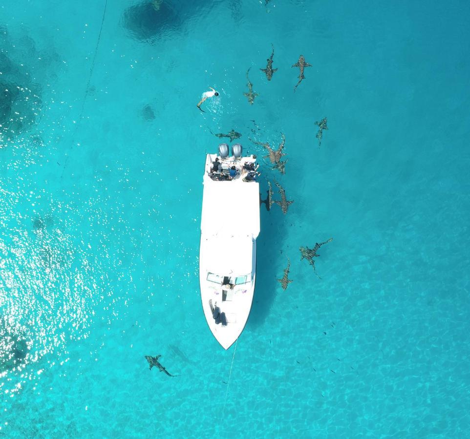 Ecoboo Maldives Hotel Thinadhoo  Luaran gambar