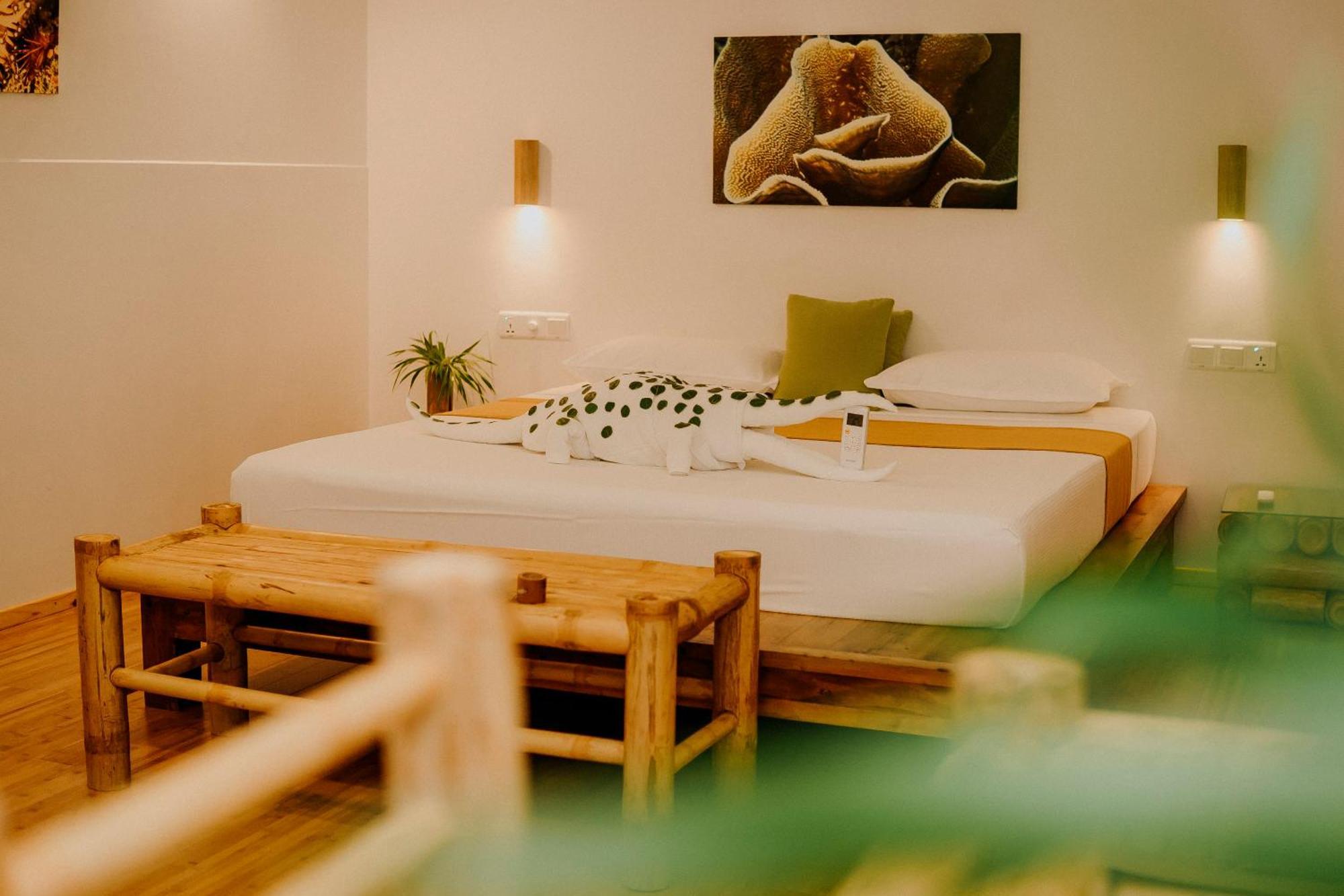 Ecoboo Maldives Hotel Thinadhoo  Luaran gambar